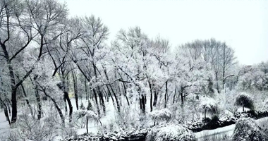 今日，与你共赴初雪之约